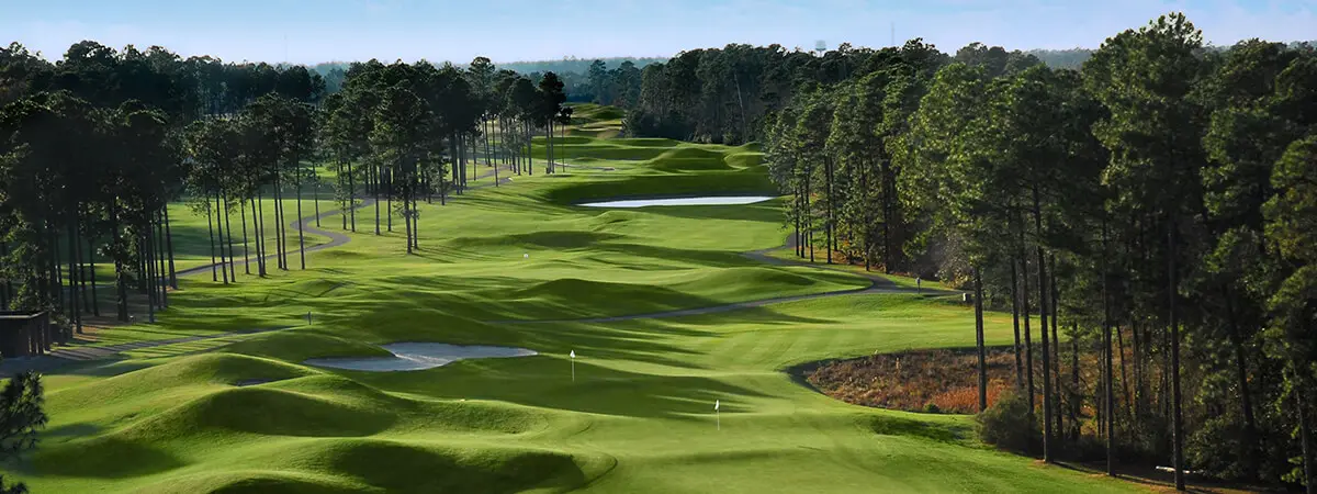 Wild Wing Plantation – Avocet Course golf course