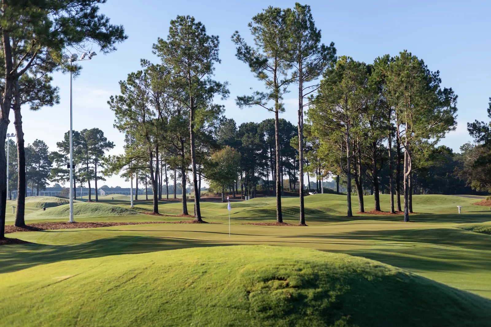 A tee shot on The Piper framed by tall pines, with a flag visible on a raised green beyond