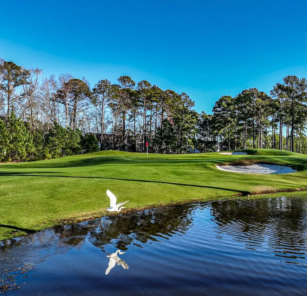 The 14th hole at River Oaks Golf Club with a pond in front of the green and pines behind