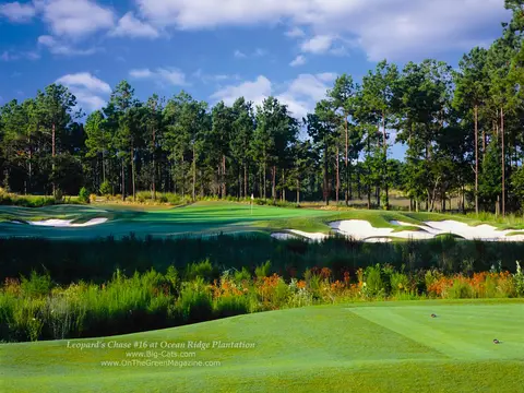 Brunswick Golf Trail package with the Leopards Chase 16th green and bunkers at Ocean Ridge Plantation